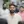 Diljith Peter